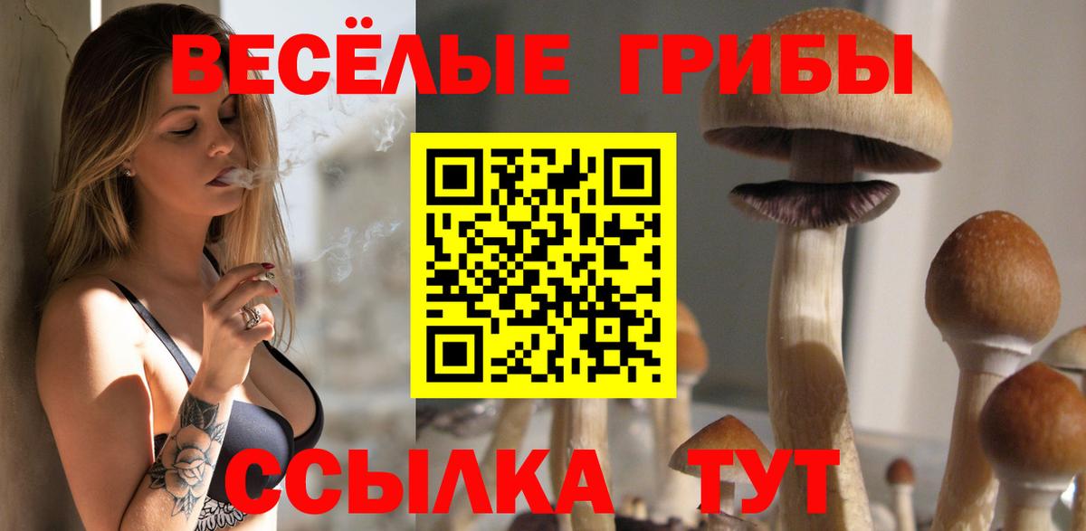 Галлюциногенные грибы Psilocybe Черногорск
